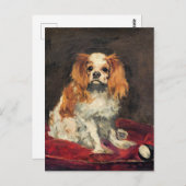 Un roi Charles Spaniel, belle carte postale (Devant / Derrière)