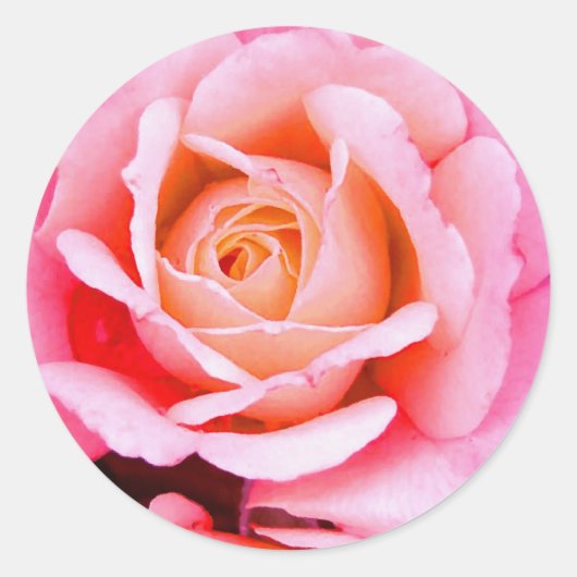 Un Rose Est Un Autocollant Rose (Devant)