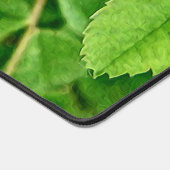 Un Rose sauvage (Coin)