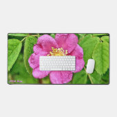 Un Rose sauvage (Clavier et souris)