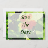 Un Save the Date au Nénuphar Orange (Dos)