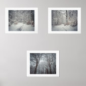Un sentier enneigé à travers une forêt d'hiver (Recto)