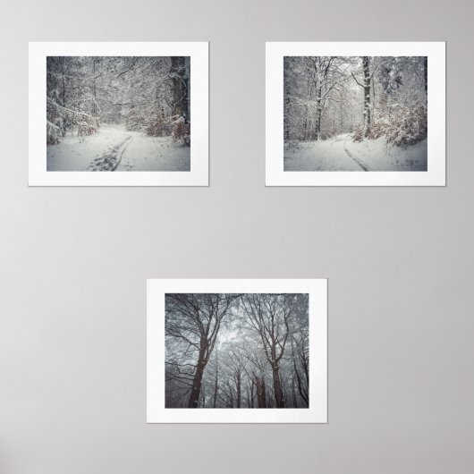 Un sentier enneigé à travers une forêt d'hiver (Recto)