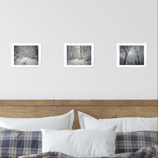 Un sentier enneigé à travers une forêt d'hiver (Chambre à coucher)
