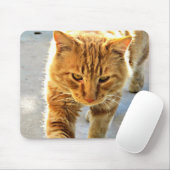 Un tapis de souris de chat (Avec souris)