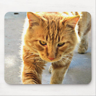 Un tapis de souris de chat