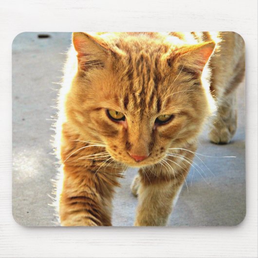 Un tapis de souris de chat (Devant)