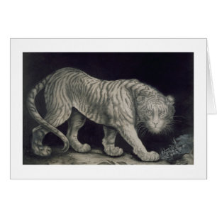 Un tigre de vagabondage (crayon sur le papier)