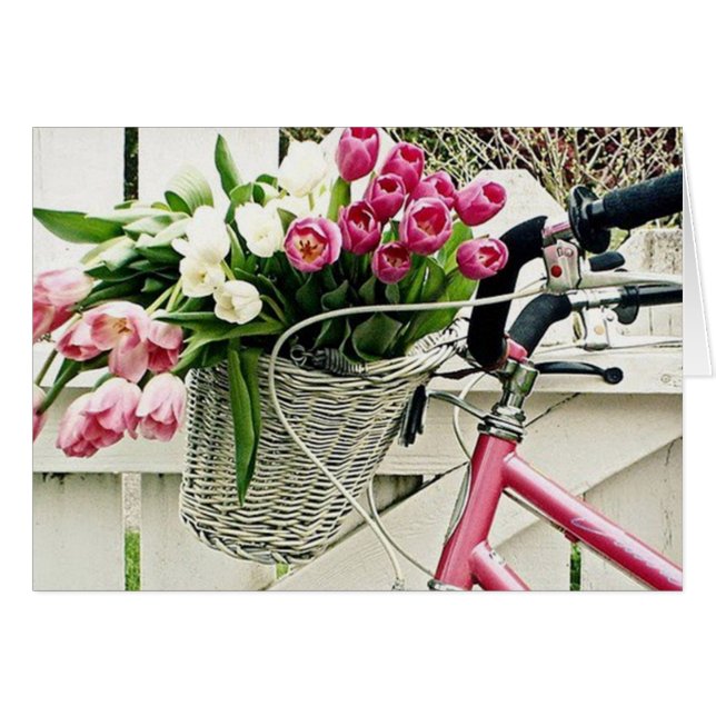 UN VÉLO CONSTRUIT POUR ELLE (Devant horizontal)