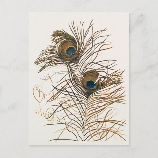 Un voeu de Noël avec une carte de vacances Tropica (Devant)