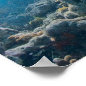Under Water Biscayne NP Poster (Coin)