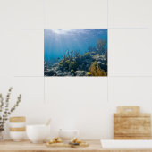 Under Water Biscayne NP Poster (Cuisine)