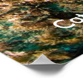 Underwater Catalina Island Poster (Hoek)