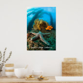 Underwater Catalina Island Poster (Keuken)