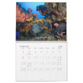 Underwater Journey 2009 Edition Kalender (Feb 2026)