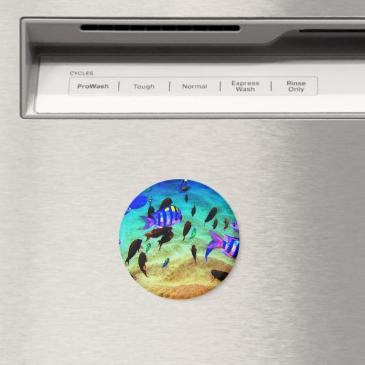 underwater magneet (Insitu (Vaatwasser))