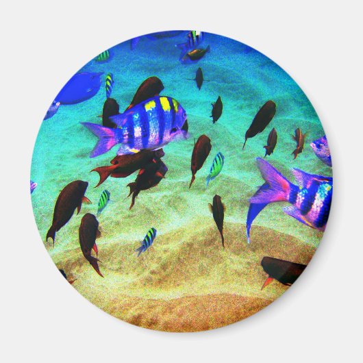 underwater magneet (Voorkant)