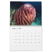 Underwater of Siquijor S- L size Kalender (Feb 2026)