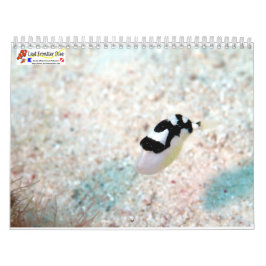 Underwater of Siquijor S- L size Kalender