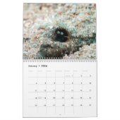 Underwater of Siquijor S- L size Kalender (Jan 2026)