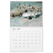 Underwater of Siquijor S- L size Kalender (Mar 2027)