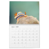 Underwater of Siquijor S- L size Kalender (Mar 2027)