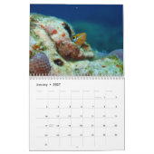 Underwater of Siquijor S- L size Kalender (Jan 2027)