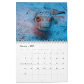 Underwater of Siquijor S- L size Kalender (Feb 2027)