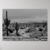 Une 1 impression de neige dans le désert Nature Se (Devant)