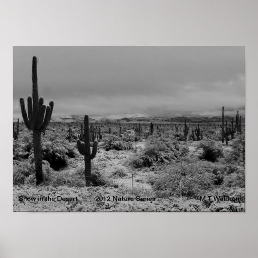 Une 1 impression de neige dans le désert Nature Se (Devant)
