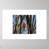 Une affiche cardinale (Devant)