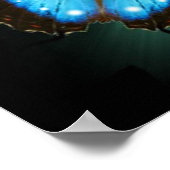 Une affiche de voyage papillon (Coin)