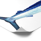 Une affiche en marlin blanc (Coin)