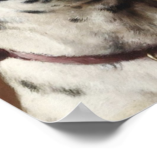 Une affiche géante (Coin)