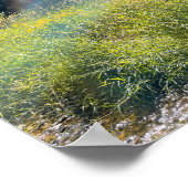 Une affiche magique dans le pré (Coin)