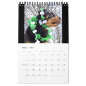 "Une année avec le calendrier 2016 de rottweiler (Mar 2027)