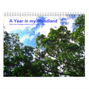 Une année dans mon calendrier de la région bois