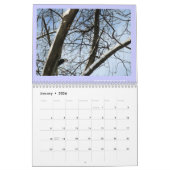 Une année dans mon calendrier de la région boisée (Jan 2026)