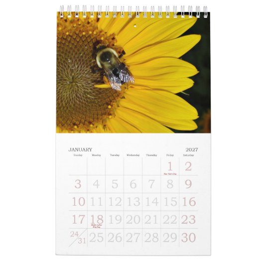 Une année de calendrier des tournesols 2013 (Jan 2027)