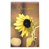Une année de calendrier des tournesols 2013 (Protection)