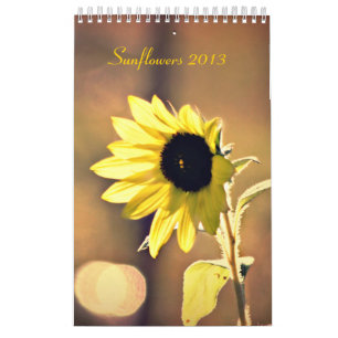 Une année de calendrier des tournesols 2013