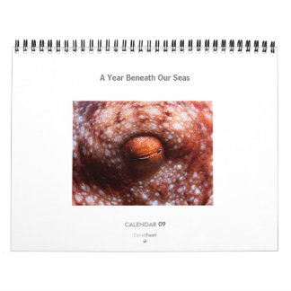 Une année sous nos mers - calendrier 2009