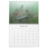 Une année sous nos mers - calendrier 2009 (Jan 2026)