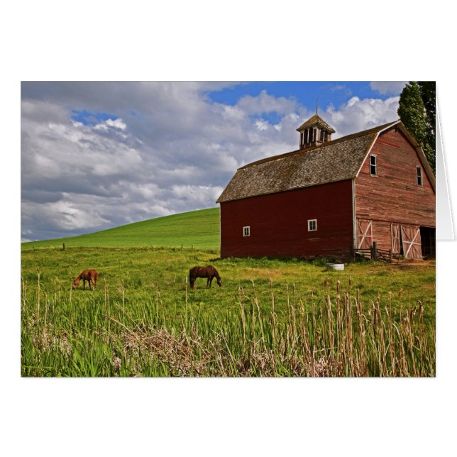 Une balade à travers la campagne de Palouse 3 (Devant horizontal)