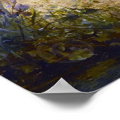 Une balade amusante de Hans Zatzka - poster (Coin)