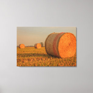 Une balle cylindrique de foin sur toile étirée imp