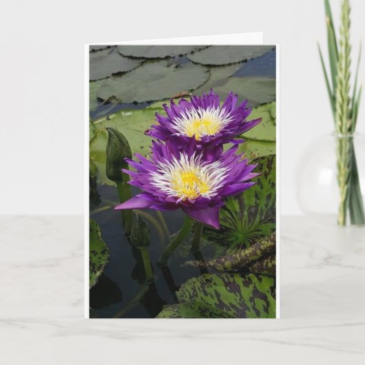 UNE "BEAU FLEURS" POUR LA CARTE "VOTRE ANNIVERSAIR (Devant)