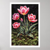 Une belle affiche d'ampoule Tulip (Devant)