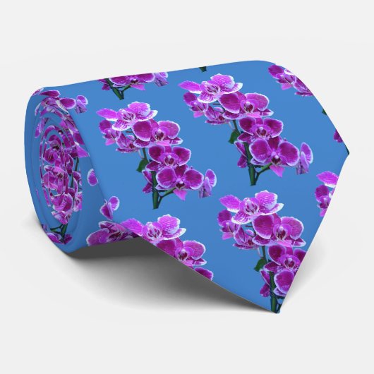 Une belle cravate d'orchidée ! (Roulé)