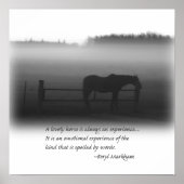 Une Belle Poster De Cheval (Devant)